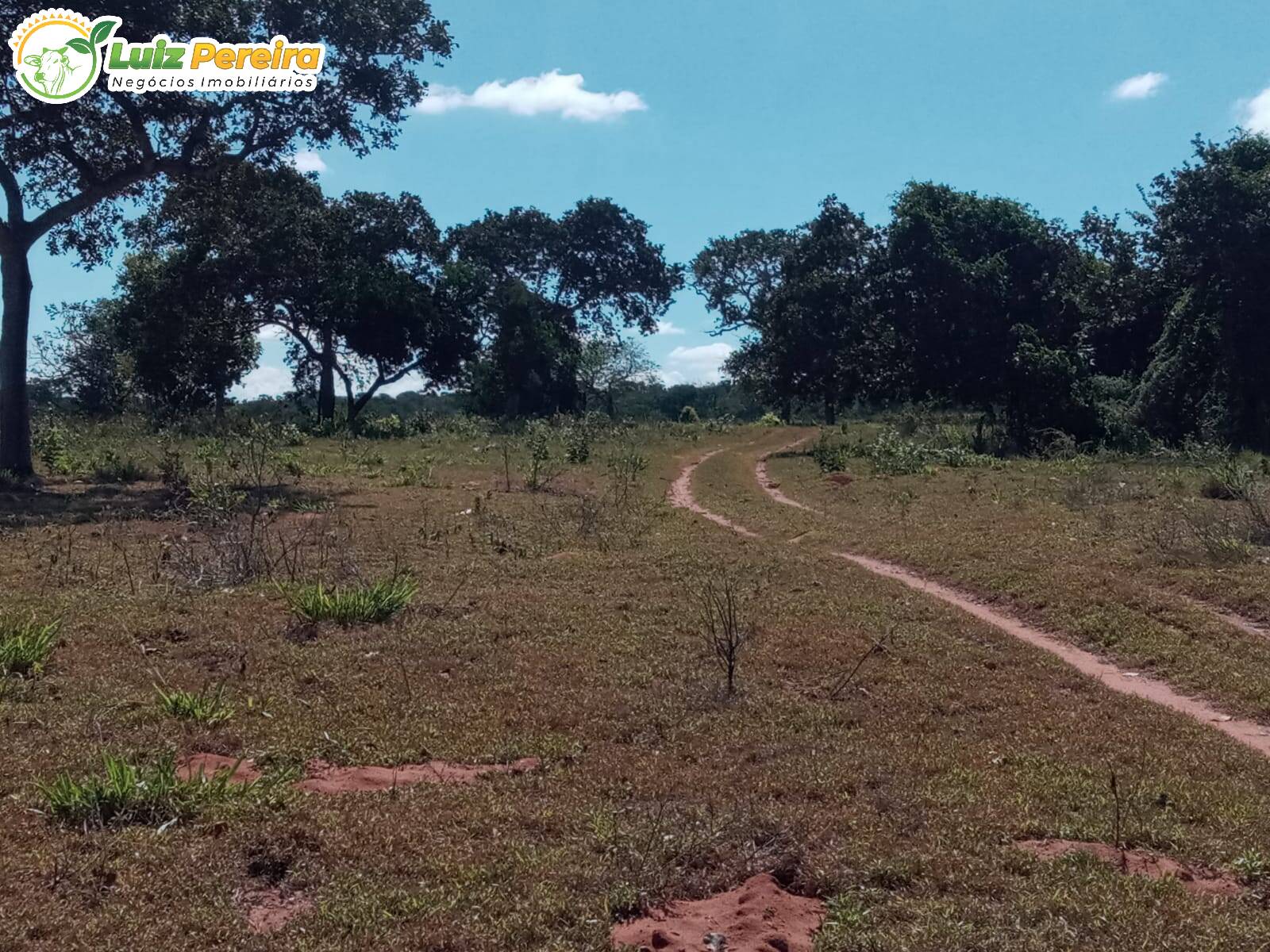 Fazenda à venda, 2280000m² - Foto 5