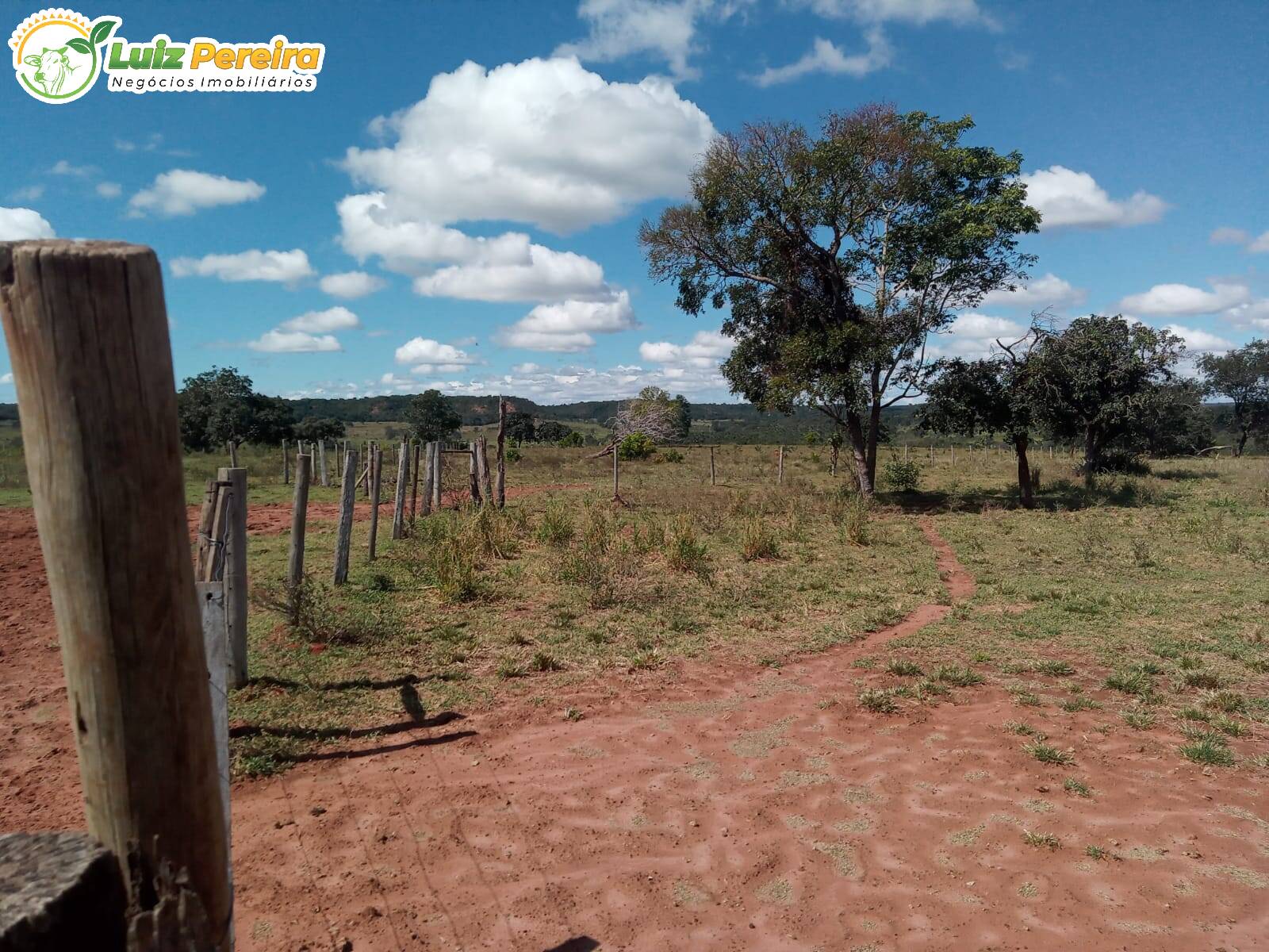 Fazenda à venda, 2280000m² - Foto 12