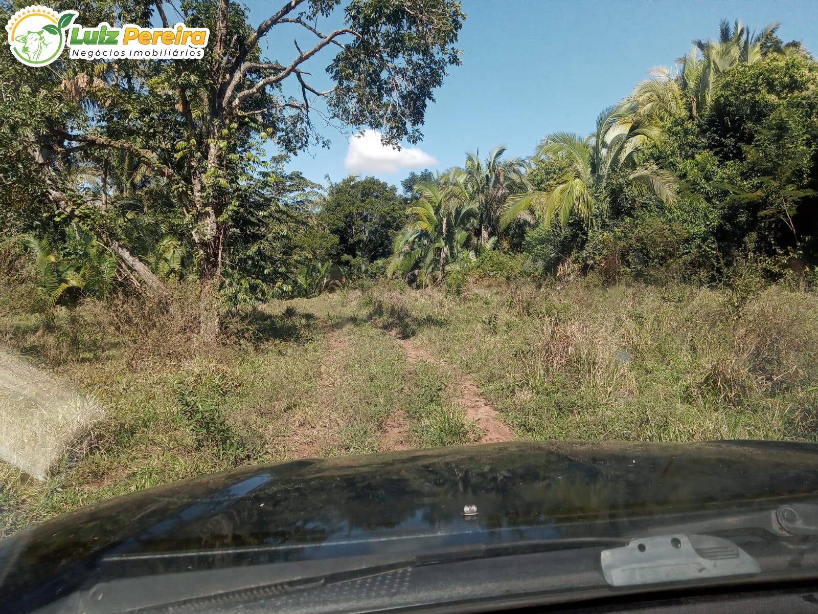 Fazenda à venda, 2280000m² - Foto 6