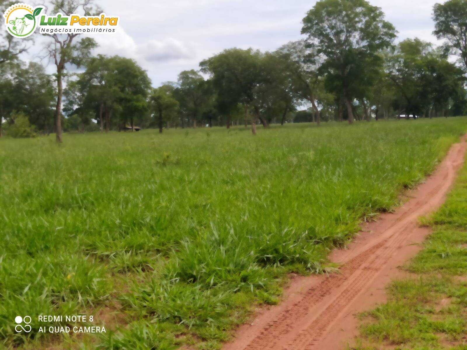 Fazenda à venda, 2130000m² - Foto 8