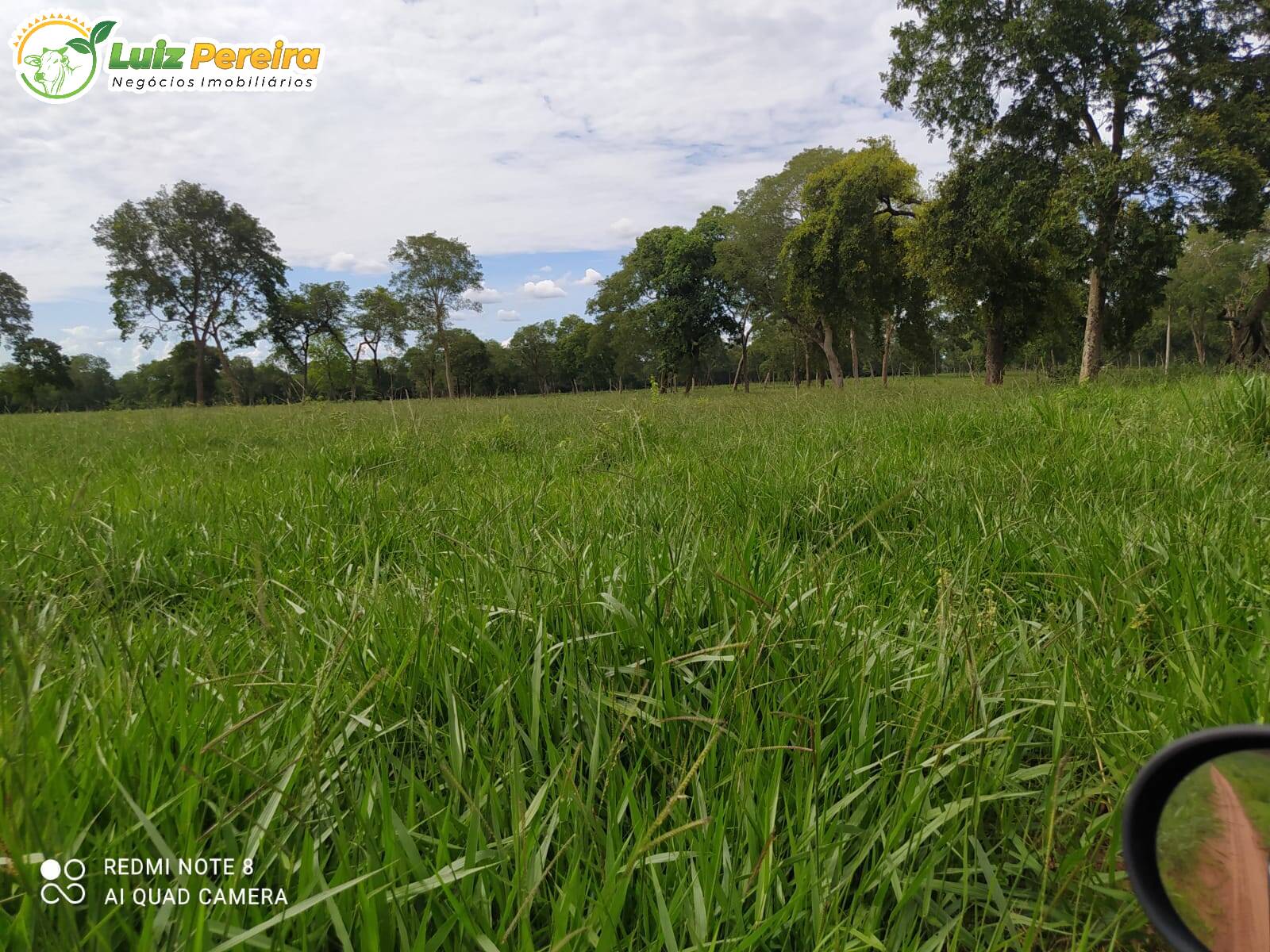 Fazenda à venda, 2130000m² - Foto 5