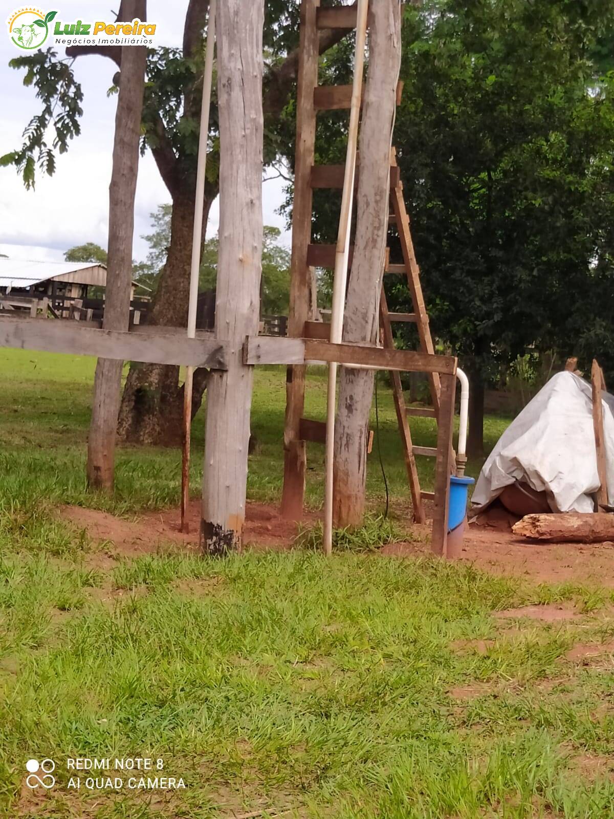 Fazenda à venda, 2130000m² - Foto 10