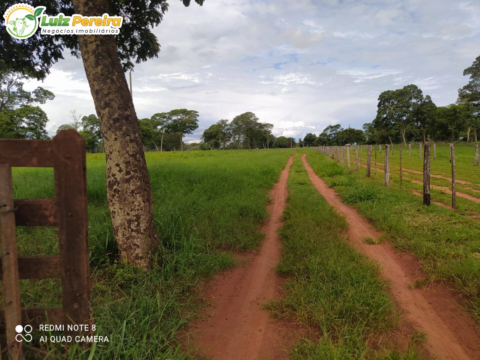 Fazenda à venda, 2130000m² - Foto 12