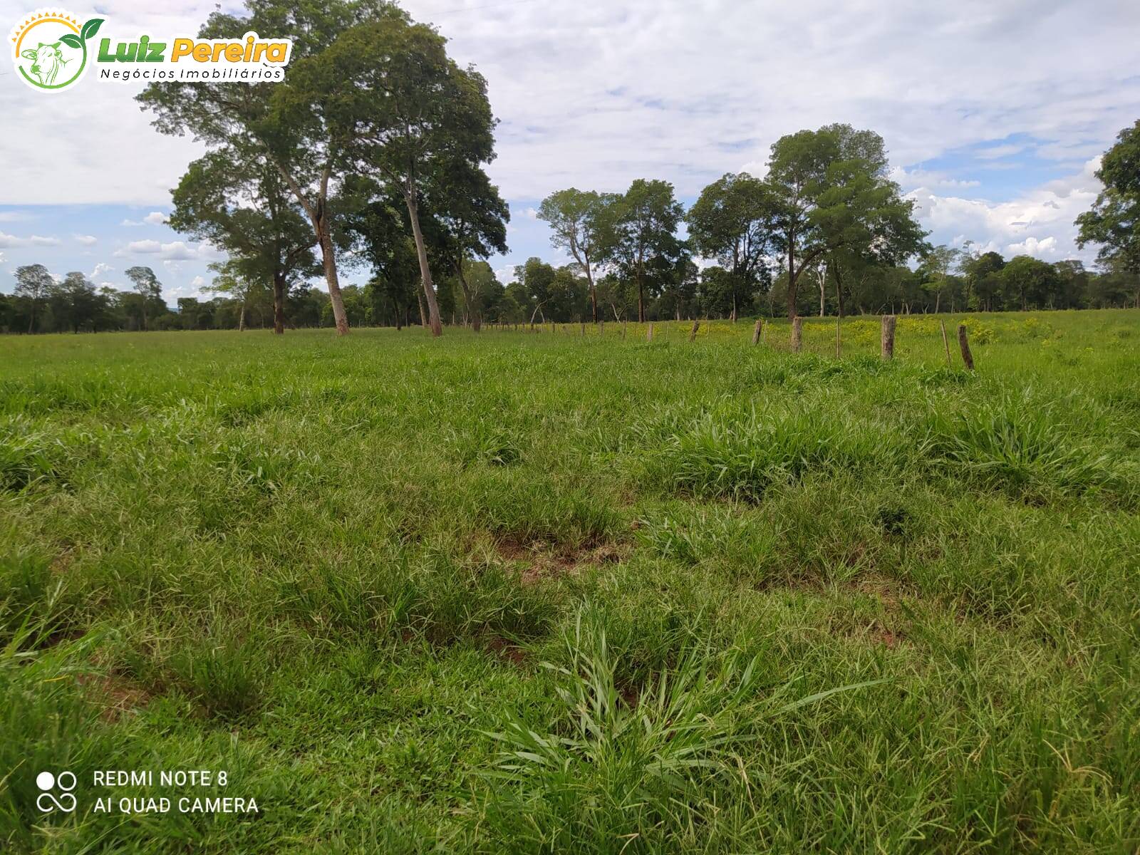 Fazenda-Sítio-Chácara, 213 hectares - Foto 1