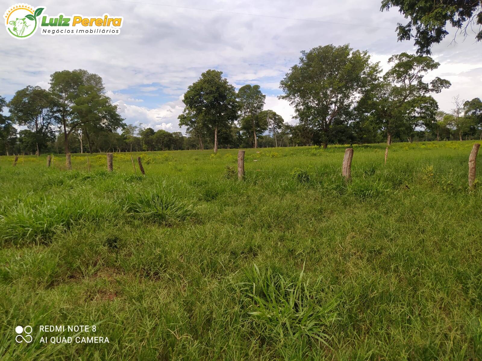 Fazenda-Sítio-Chácara, 213 hectares - Foto 2