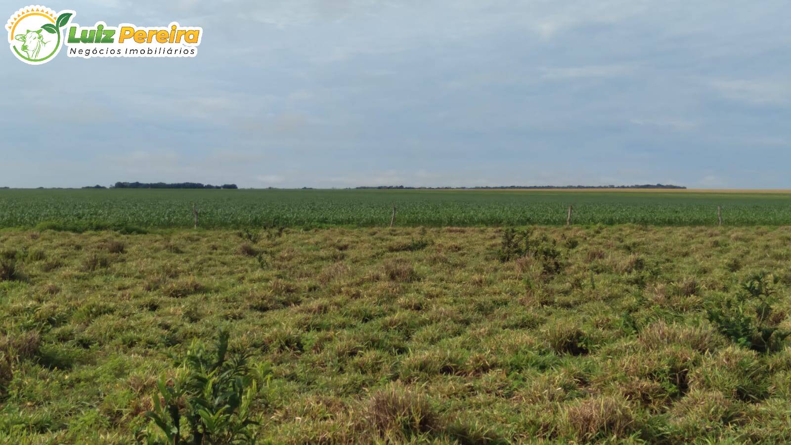 Fazenda à venda, 12100000m² - Foto 2