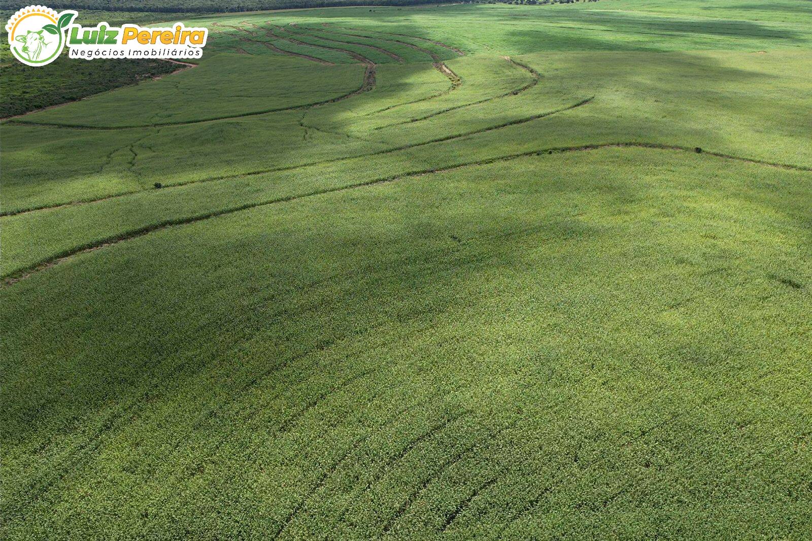 Fazenda à venda, 110000000m² - Foto 5