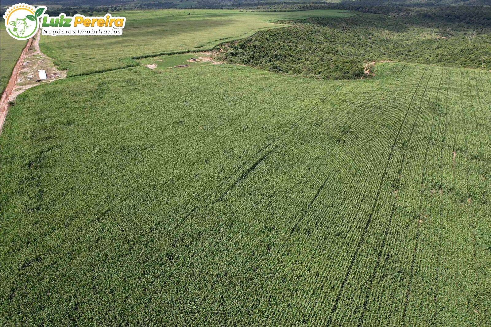 Fazenda à venda, 110000000m² - Foto 6