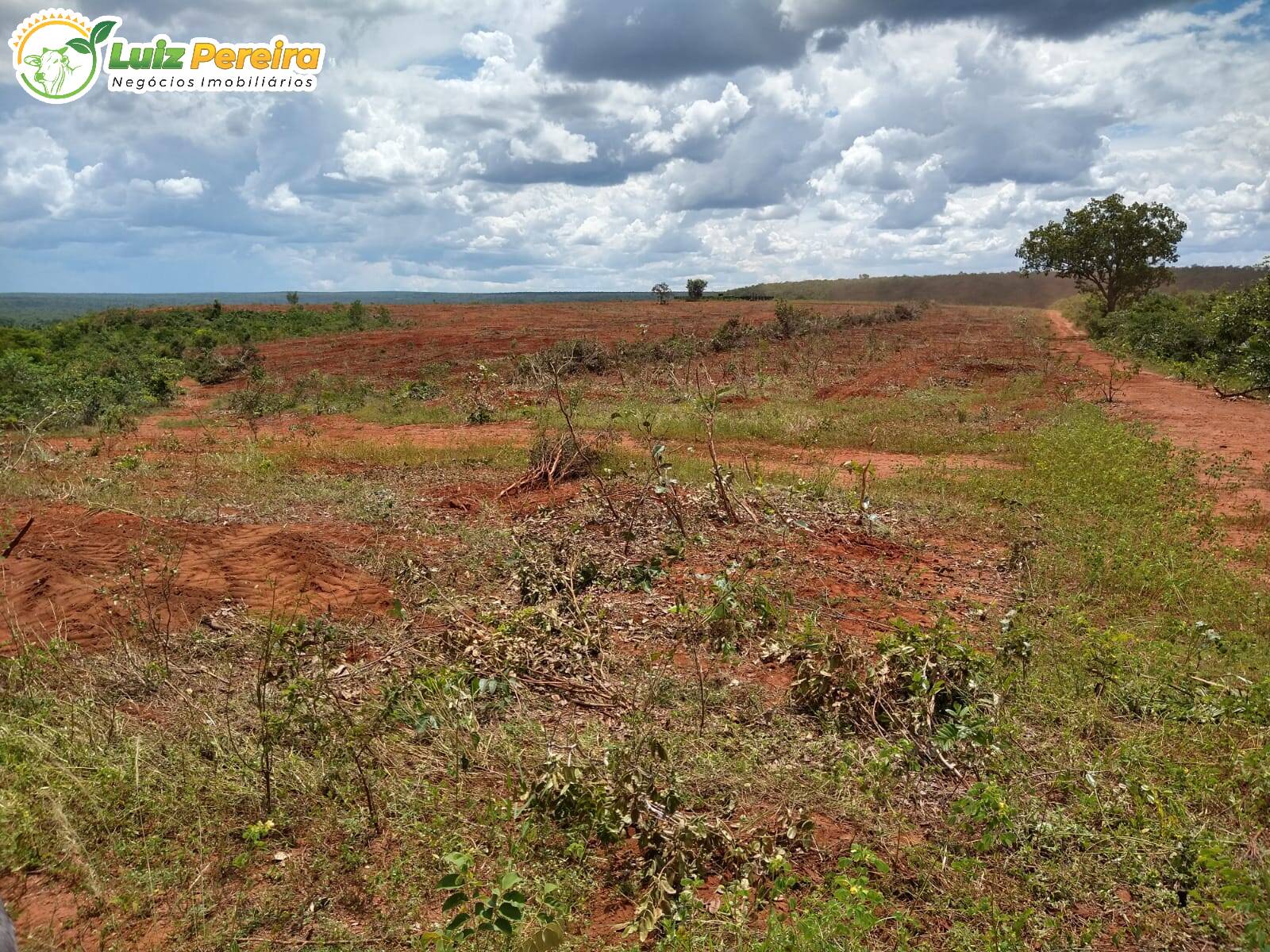 Terreno à venda, 16200m² - Foto 5