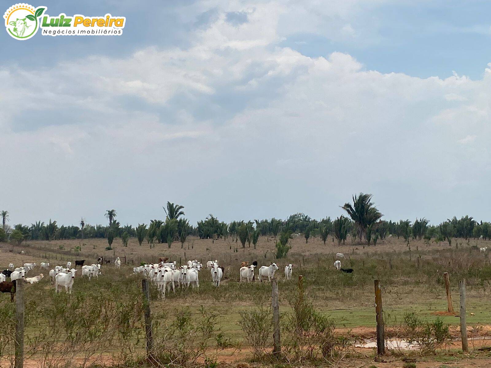 Fazenda à venda, 484m² - Foto 3