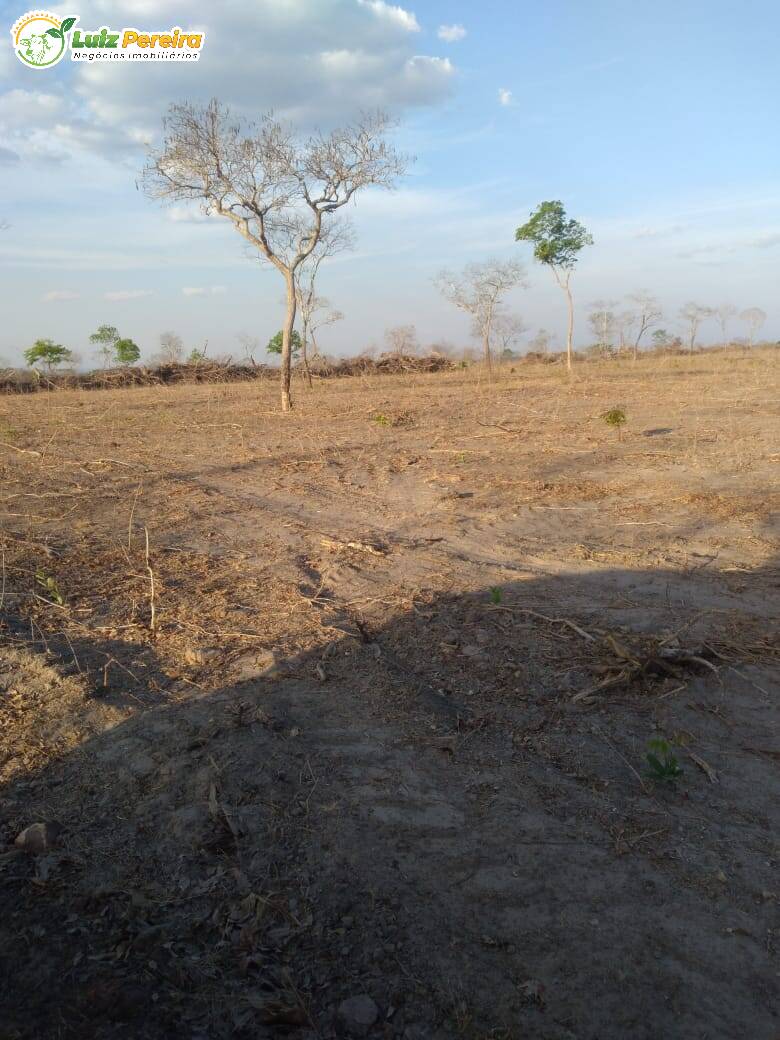 Fazenda à venda, 4590000m² - Foto 5