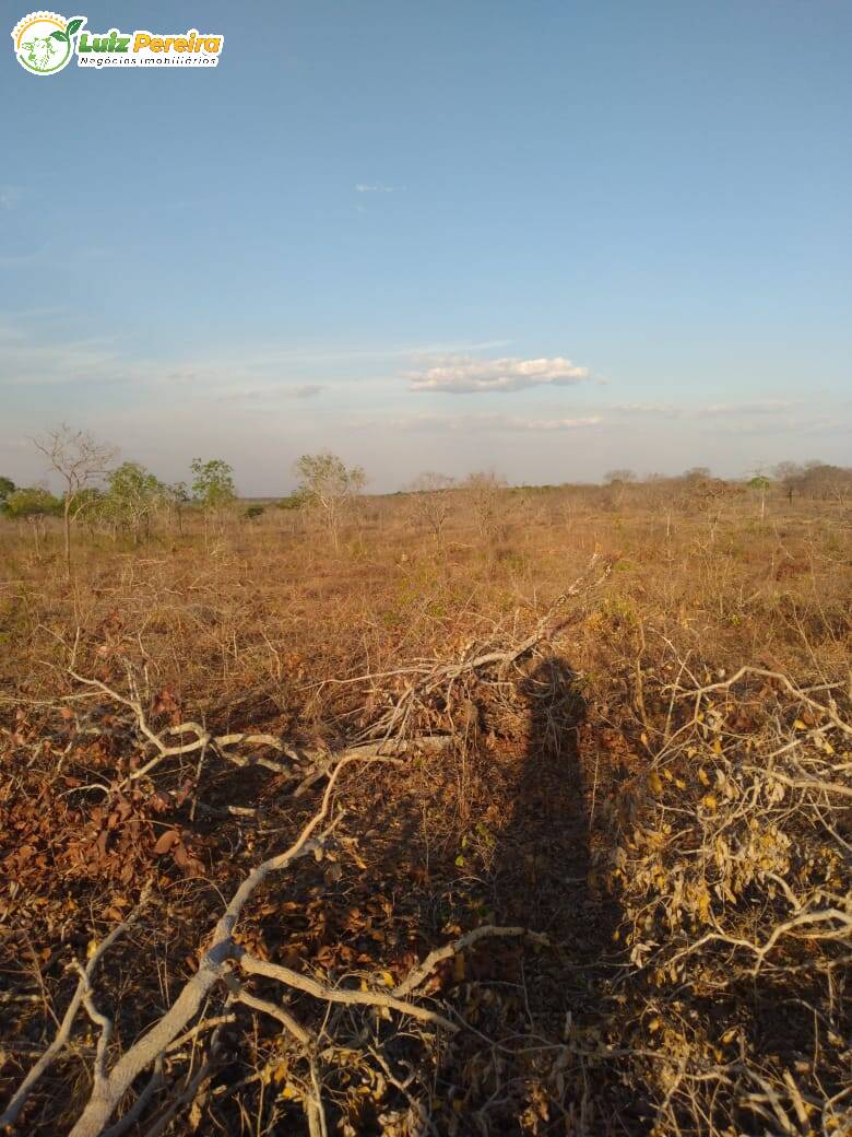 Fazenda à venda, 4590000m² - Foto 9