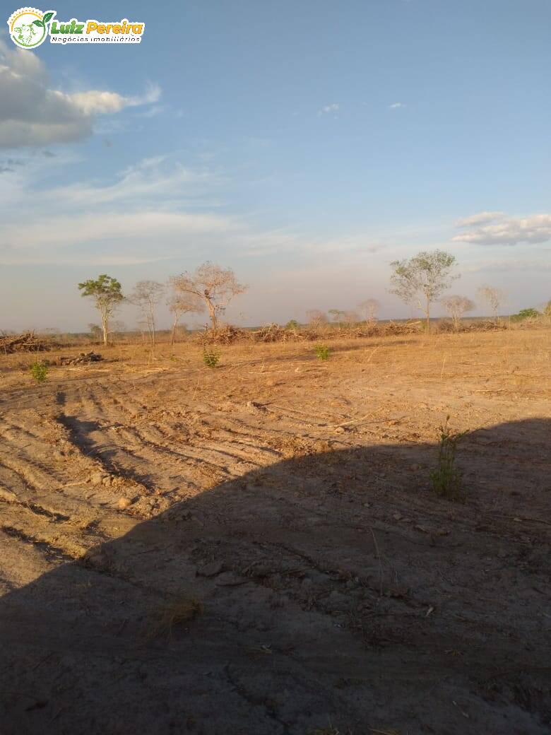 Fazenda à venda, 4590000m² - Foto 8