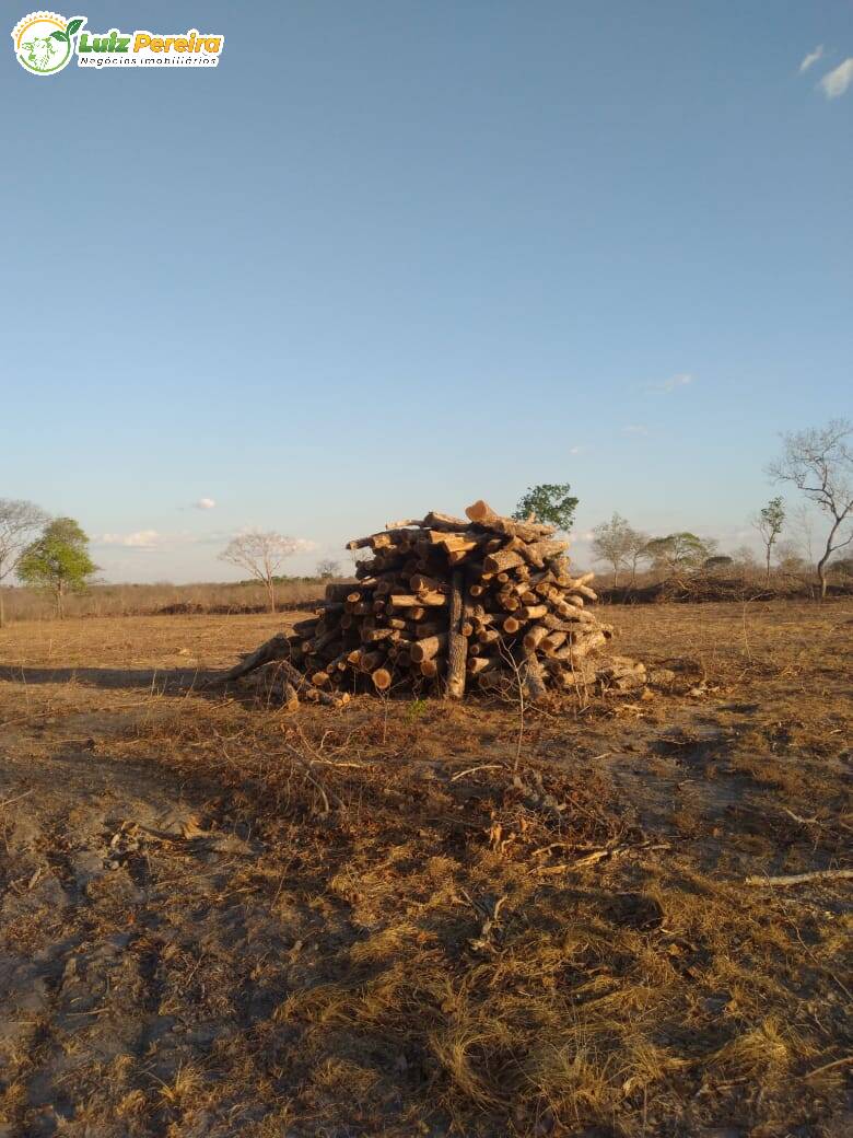 Fazenda à venda, 4590000m² - Foto 7