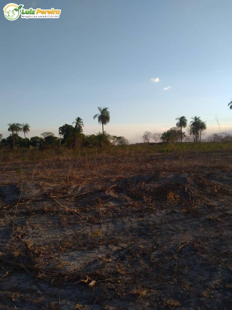 Fazenda à venda, 4590000m² - Foto 12