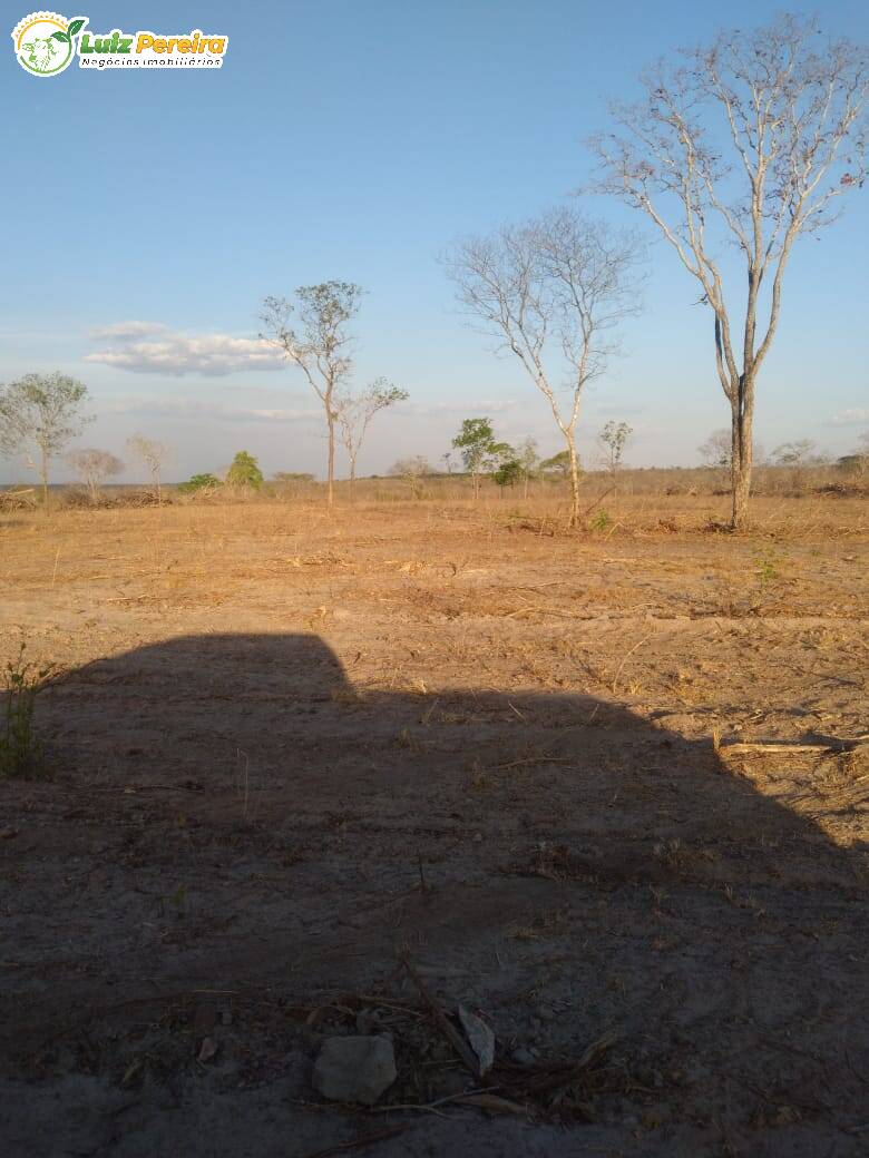 Fazenda à venda, 4590000m² - Foto 11