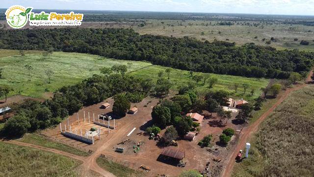 Fazenda-Sítio-Chácara, 2599 hectares - Foto 2
