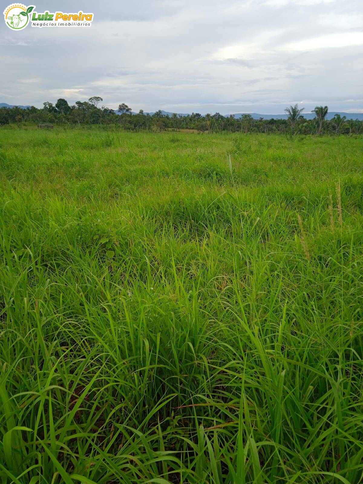 Fazenda à venda, 5324000m² - Foto 3