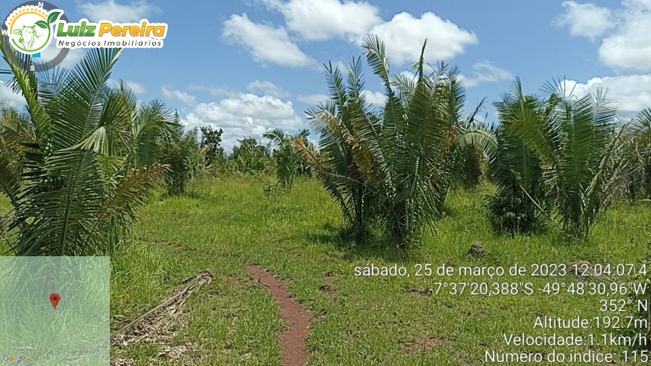 Fazenda à venda, 5324000m² - Foto 2