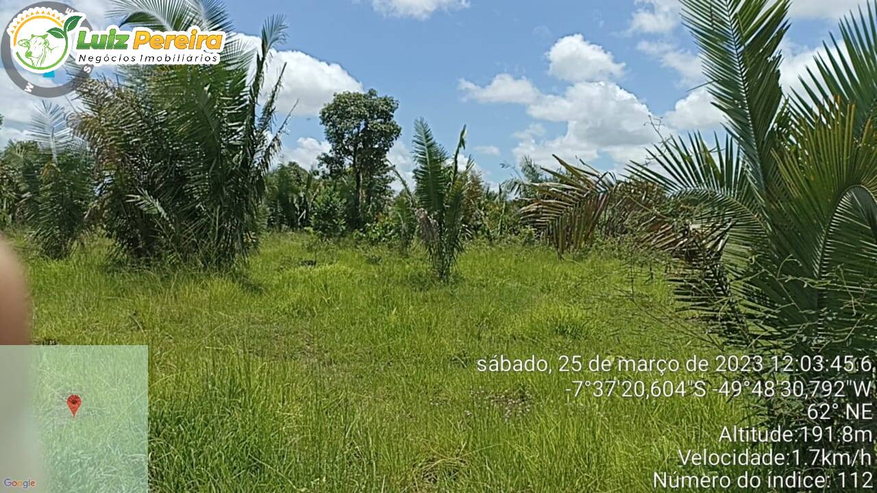 Fazenda à venda, 5324000m² - Foto 5