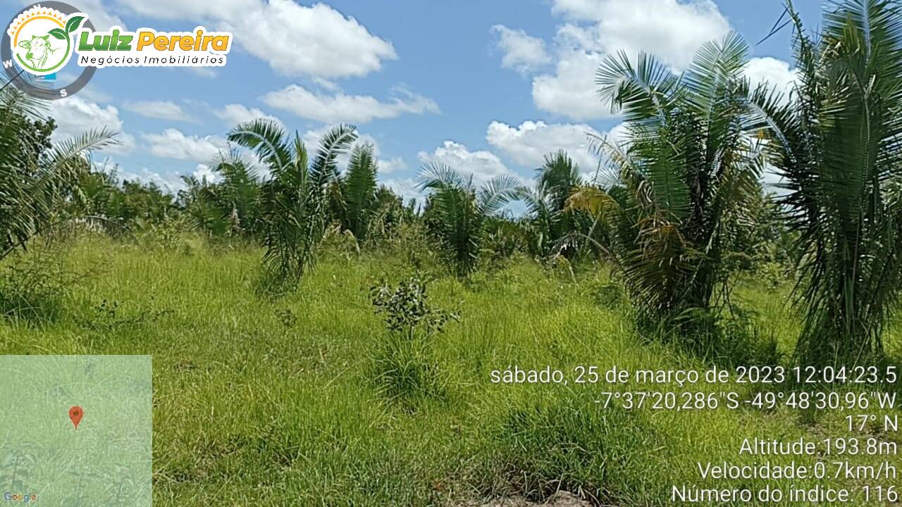 Fazenda à venda, 5324000m² - Foto 1