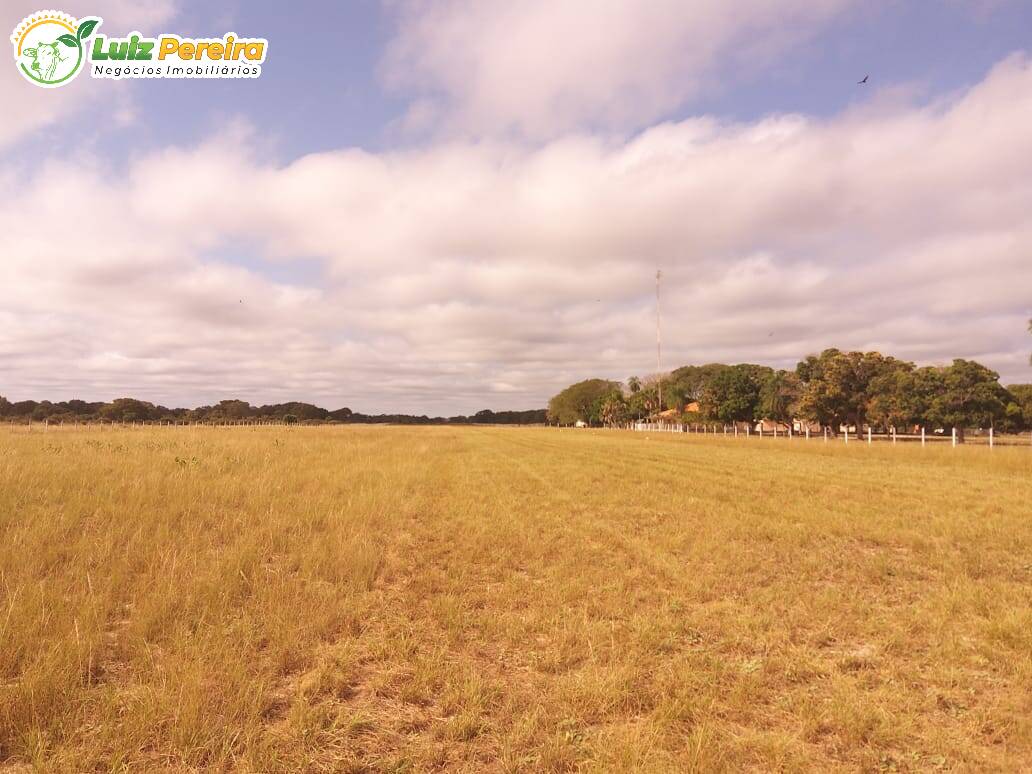 Fazenda à venda, 49000000m² - Foto 11