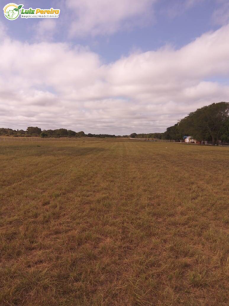 Fazenda à venda, 49000000m² - Foto 13