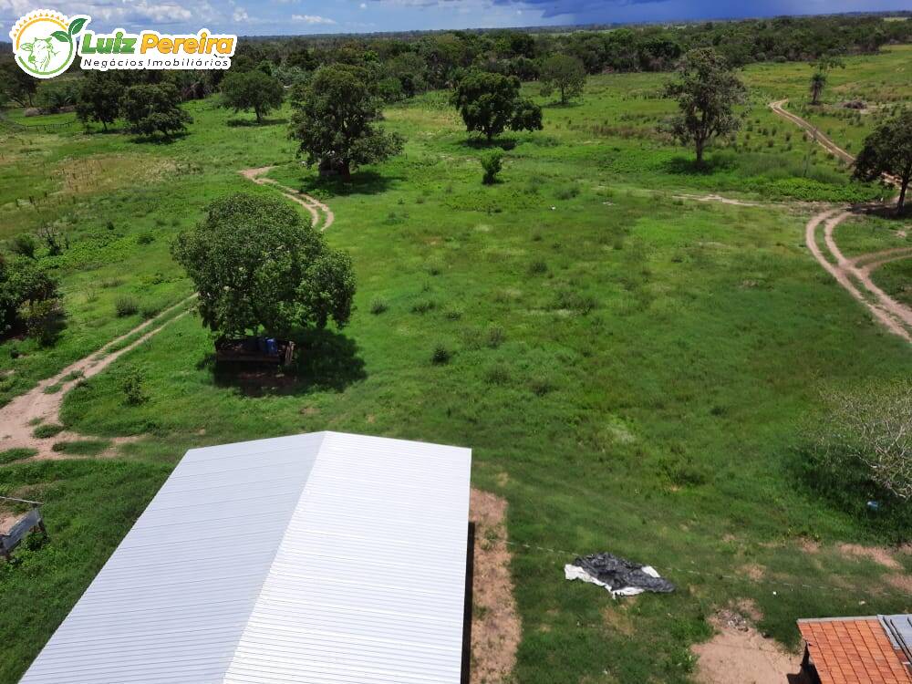 Fazenda à venda, 49000000m² - Foto 2