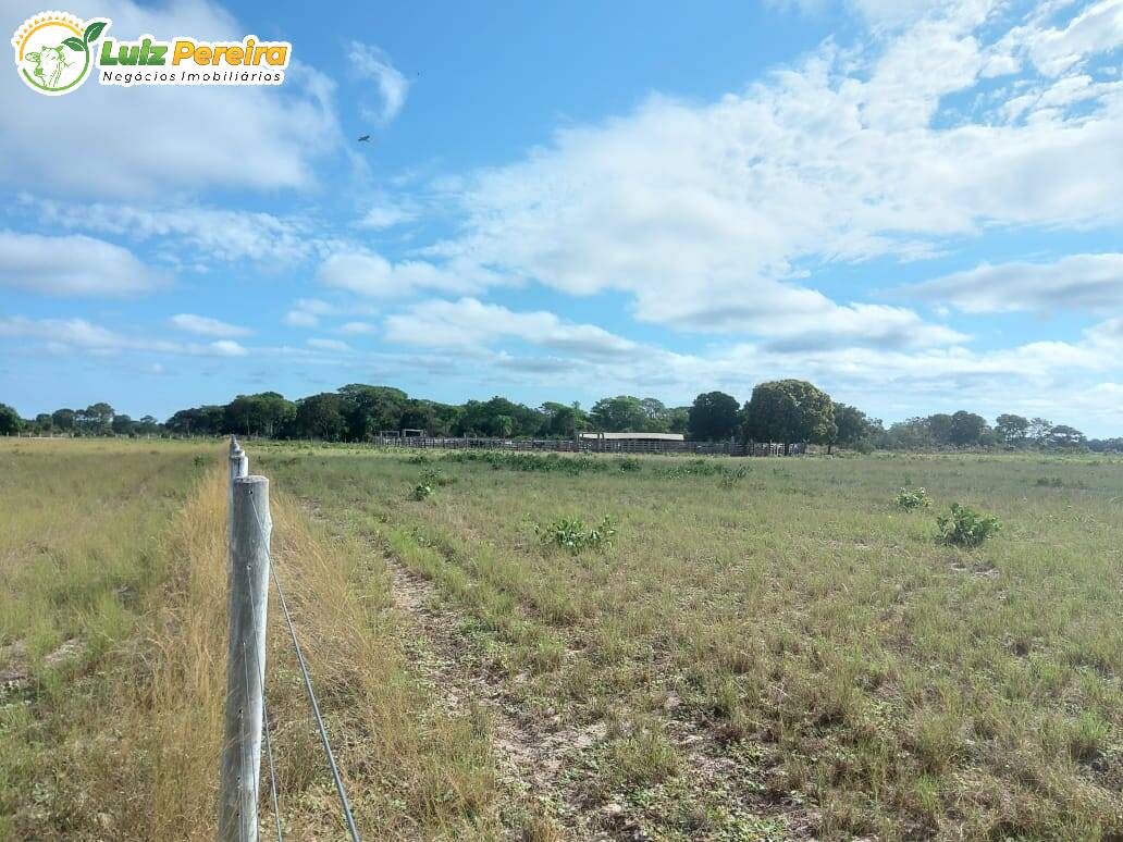 Fazenda à venda, 49000000m² - Foto 9