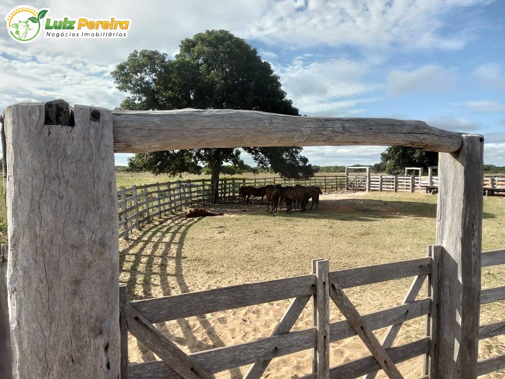 Fazenda à venda, 49000000m² - Foto 19