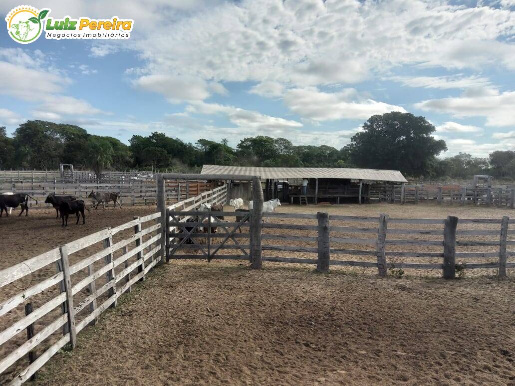 Fazenda à venda, 49000000m² - Foto 17