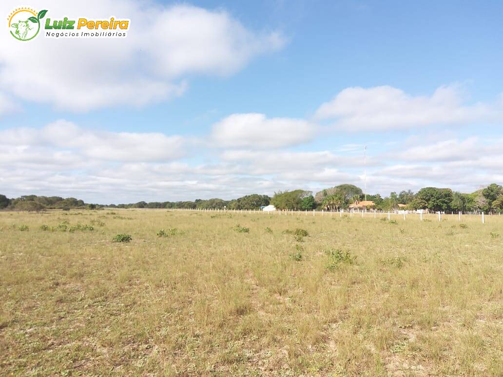 Fazenda à venda, 49000000m² - Foto 8