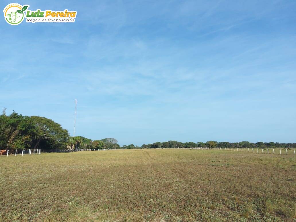 Fazenda à venda, 49000000m² - Foto 6