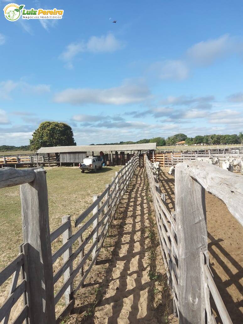 Fazenda à venda, 49000000m² - Foto 20