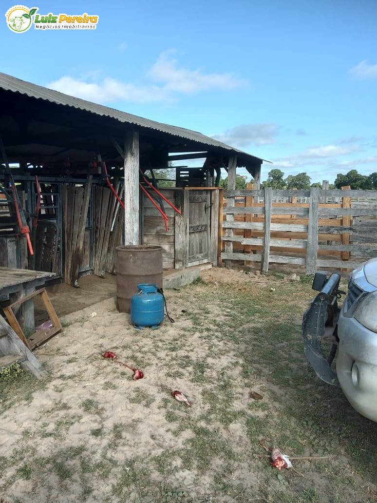 Fazenda à venda, 49000000m² - Foto 21