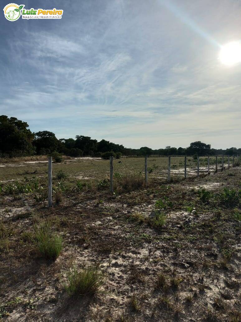 Fazenda à venda, 49000000m² - Foto 7