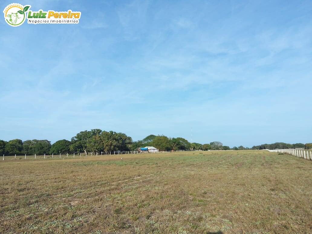 Fazenda-Sítio-Chácara, 4900 hectares - Foto 4