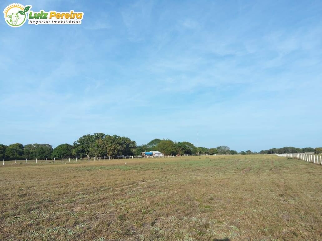 Fazenda à venda, 49000000m² - Foto 4