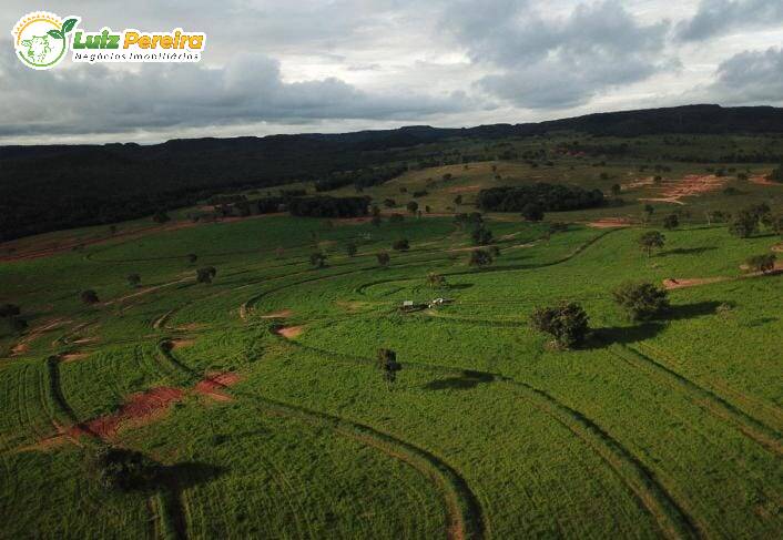 Fazenda à venda, 1482m² - Foto 7