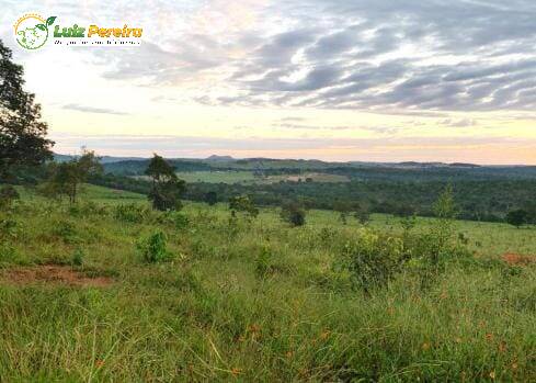 Fazenda à venda, 1482m² - Foto 16