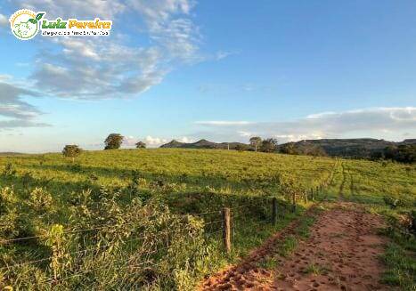 Fazenda à venda, 1482m² - Foto 9