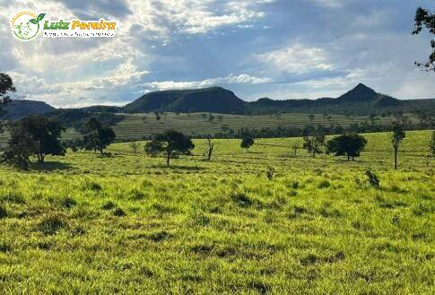 Fazenda à venda, 1482m² - Foto 11