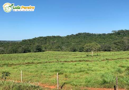 Fazenda à venda, 1482m² - Foto 12