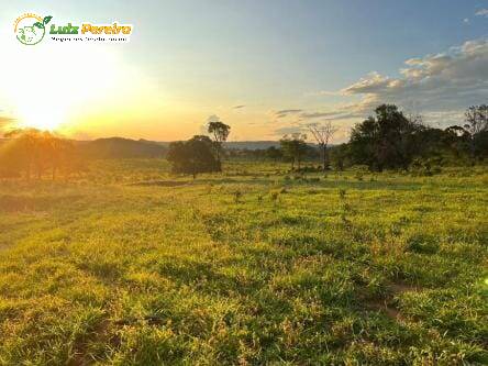 Fazenda à venda, 1482m² - Foto 19