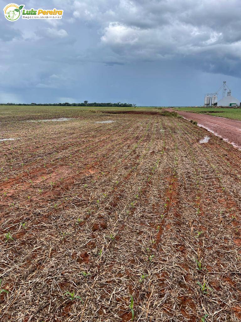 Fazenda à venda, 22720m² - Foto 13