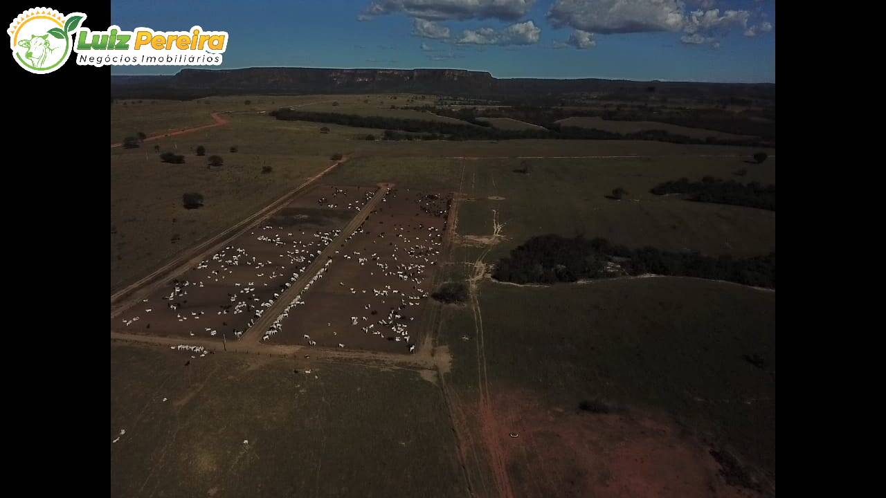 Terreno à venda, 7000m² - Foto 12