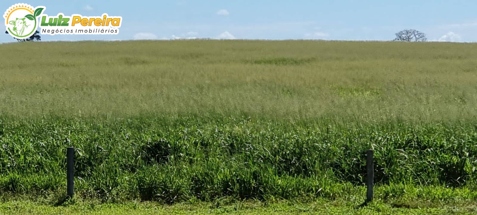 Terreno à venda, 7000m² - Foto 9