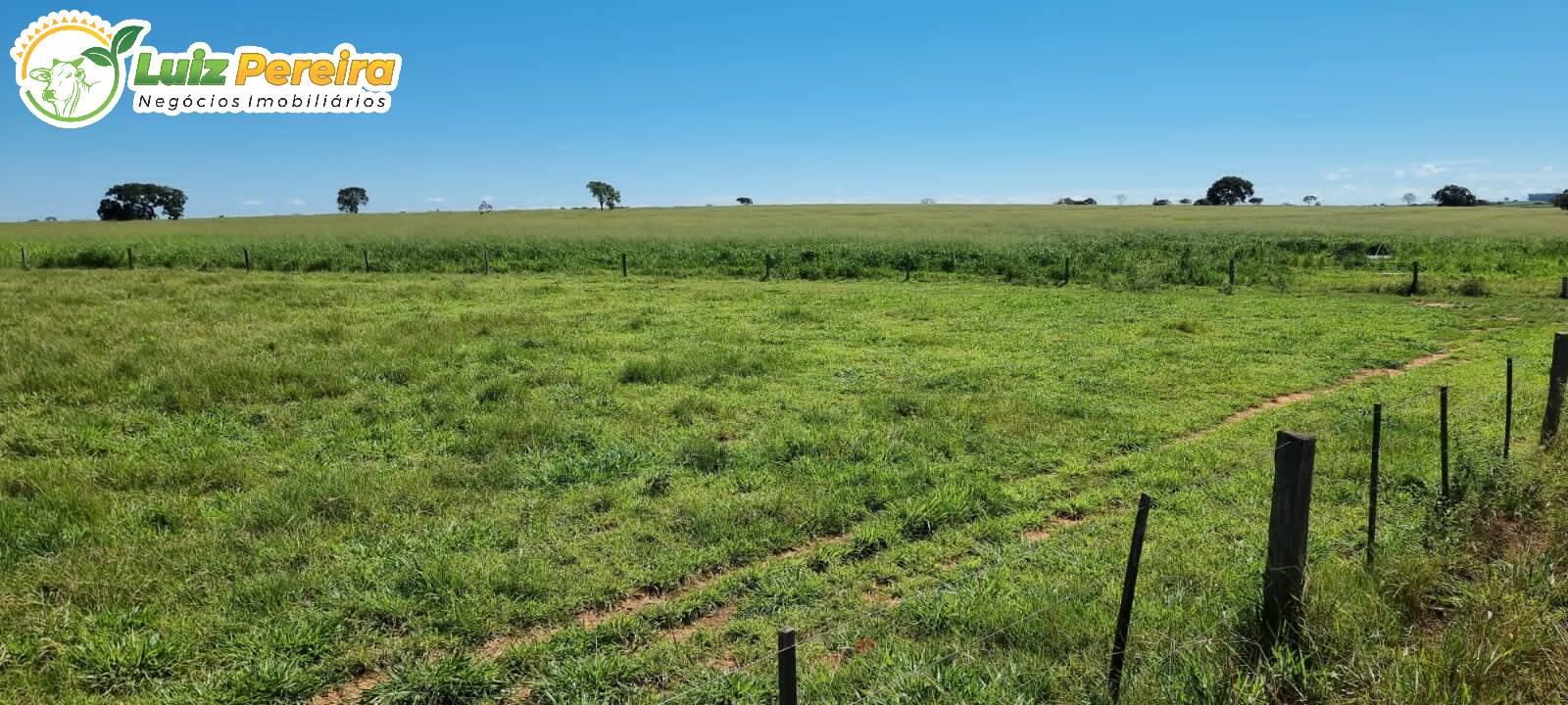 Terreno à venda, 7000m² - Foto 10