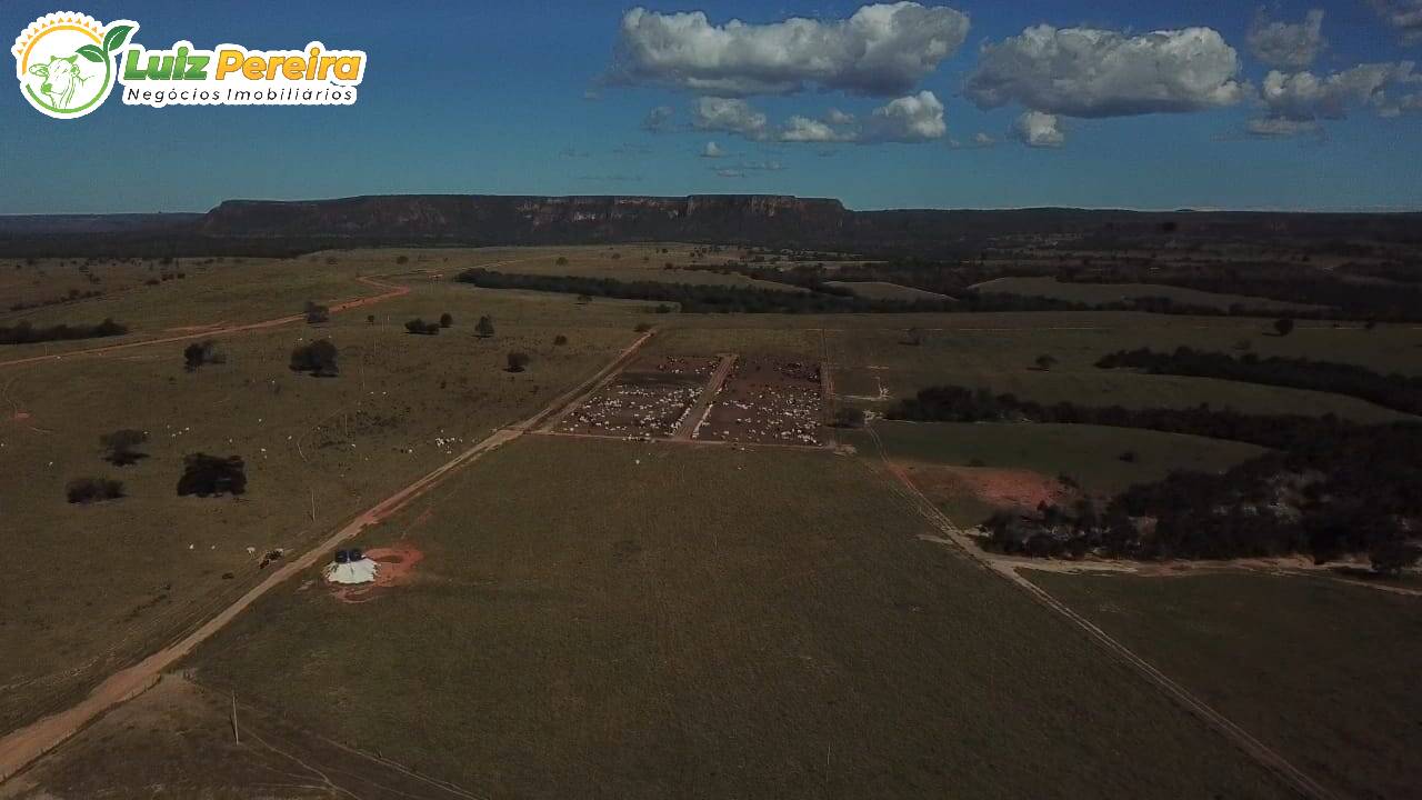 Terreno à venda, 7000m² - Foto 19