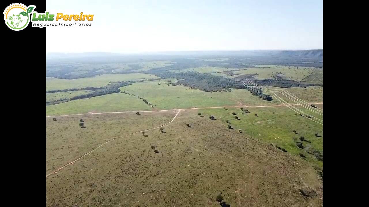 Terreno à venda, 7000m² - Foto 7